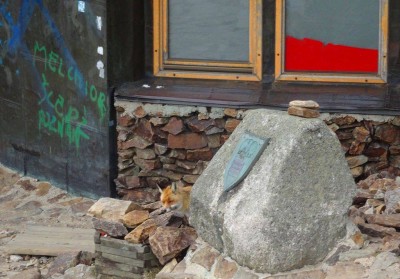 Opowieści z Karkonoszy: Królowa, lis i okienko do nieba [GALERIA] - 19