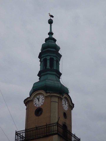 Opowieści z Karkonoszy: Królowa, lis i okienko do nieba [GALERIA] - 6