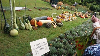 Ale dynie! Nietypowy festiwal we Wrocławiu (ZDJĘCIA) - 10