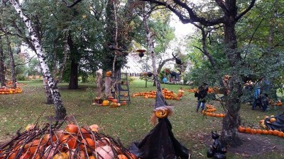 Ale dynie! Nietypowy festiwal we Wrocławiu (ZDJĘCIA) - 6