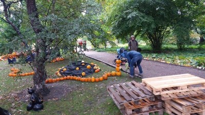 Ale dynie! Nietypowy festiwal we Wrocławiu (ZDJĘCIA) - 7