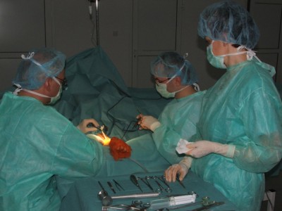 Dziś Światowy Dzień Donacji i Transplantacji