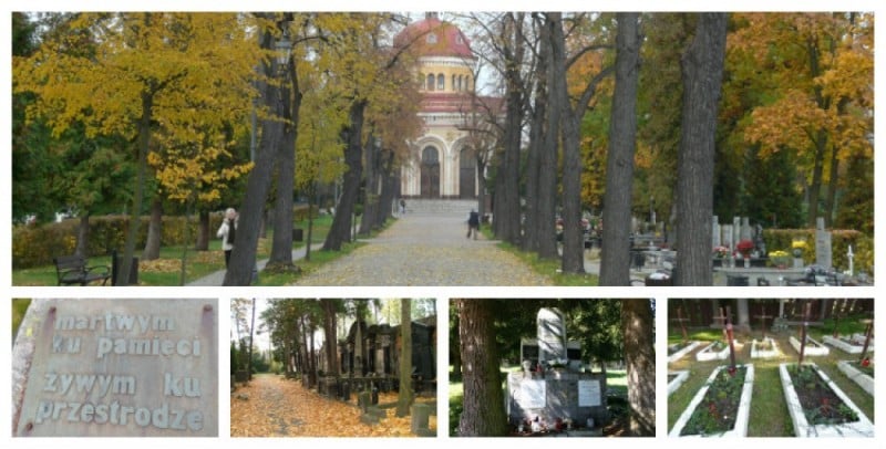 TOP5: Dolnośląskie nekropolie (GŁOSUJ) - 