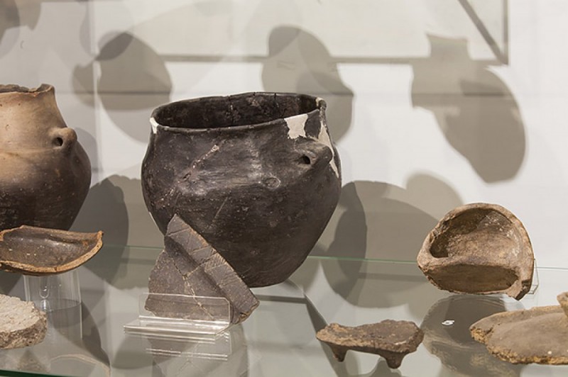 Skarb w Grzybianach k. Legnicy: "To drugi Biskupin" - fot. Muzeum Miedzi