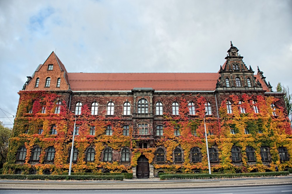TOP5 miejsc malowanych kolorami jesieni - wygrywa Wąw&oacute;z Myśliborski