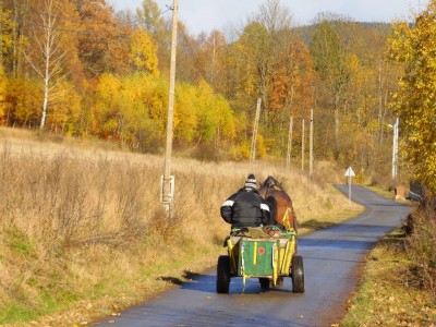 TOP5 miejsc malowanych kolorami jesieni - wygrywa Wąwóz Myśliborski - 5