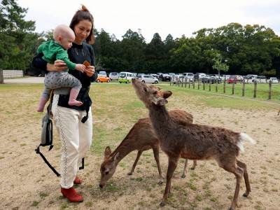 Do Japonii z małymi dziećmi. Czy to trudne? - 7