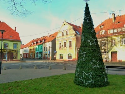 TOP5 najpiękniejszych, dolnośląskich choinek - wygrała choinka z Wałbrzycha !  - 16