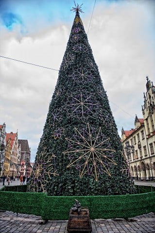TOP5 najpiękniejszych, dolnośląskich choinek - wygrała choinka z Wałbrzycha !  - 1
