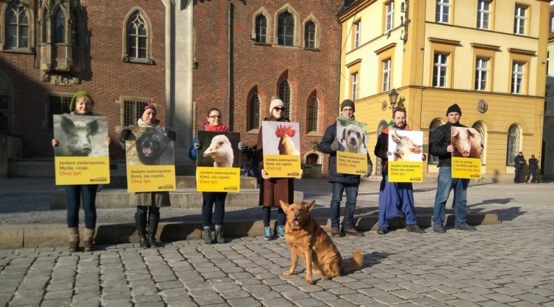 „Jestem Zwierzęciem. Myślę, czuję. Chcę żyć” - akcja we Wrocławiu  - fot. Facebook