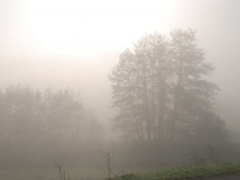 Prognoza pogody: ślisko i mgliście  - 