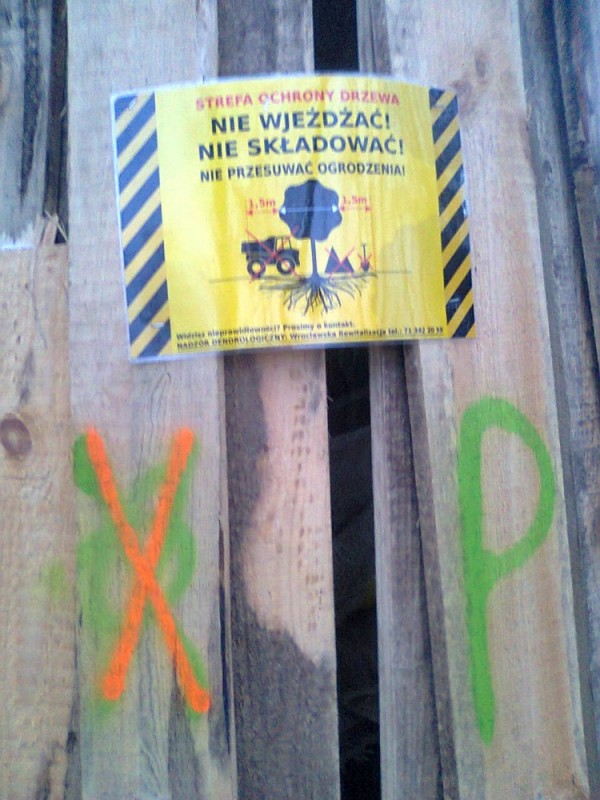 Mieszkańcy osiedla WuWa buntują się przeciwko wycince drzew - Fot. Agata Arcimowicz