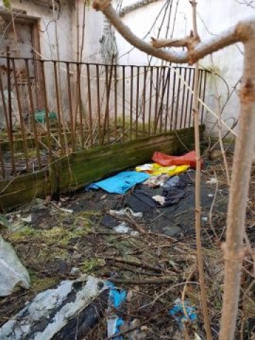 Policja w hodowli psów pod Oleśnicą. Zwierzęta żyły w skandalicznych warunkach (ZDJĘCIA) - 3