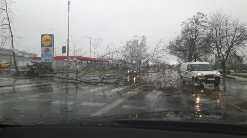 Oberwanie chmury w regionie. Powalone drzewa, zerwane dachy (FOTO) - Zakrzów, ul. Wilanowska; fot. Przemek Gałecki