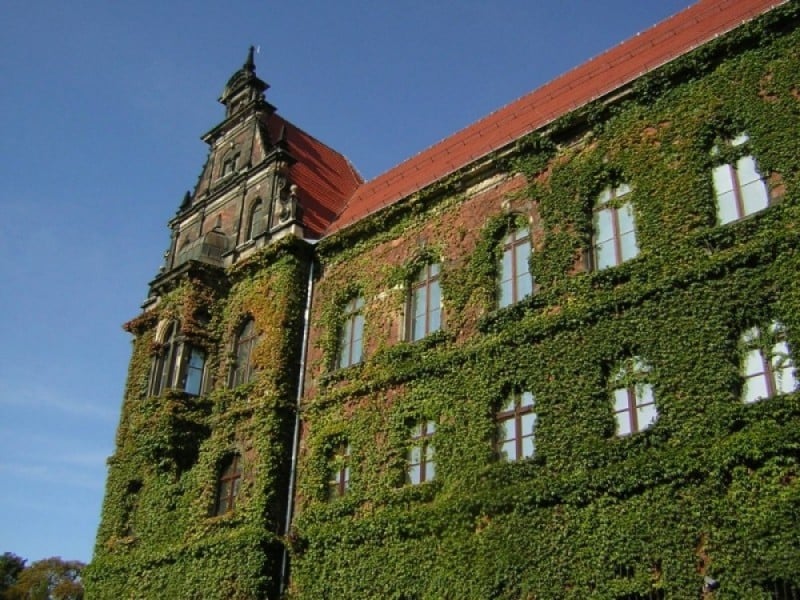 70 lat Muzeum Narodowego we Wrocławiu - fot. commons.wikimedia.org