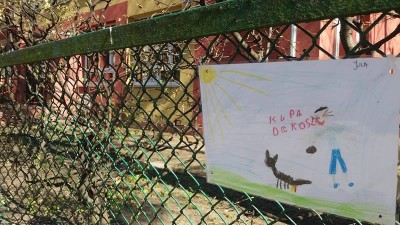 "Zakaz robienia kup": Dzieci proszą właścicieli by sprzątali po swoich pupilach [GALERIA] - 8