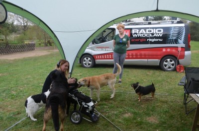One tak czekają... dajmy im nowy dom! Radio Wrocław w fundacji Matuzalki [GALERIA]