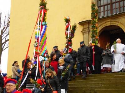 17-metrowe palmy wielkanocne w kościele w Chełmsku Śląskim
