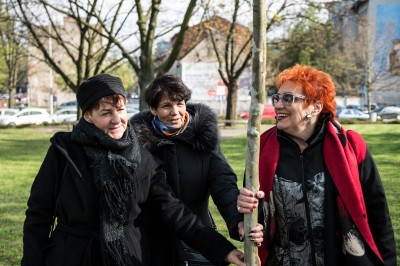 Zasadzili nowe drzewo na placu Grunwaldzkim - 7