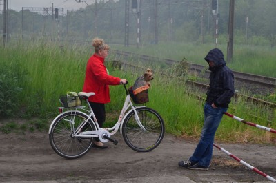 Pociągiem na Ziemie Odzyskane. Odtworzą podróż repatriantów na Dolny Śląsk [FILM] - 4