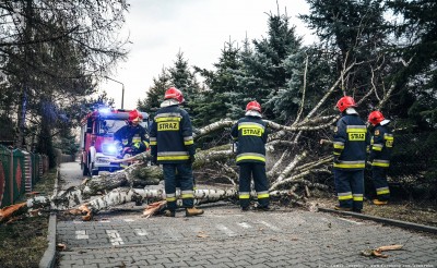 Straż pożarna w obiektywie [GALERIA] - 12