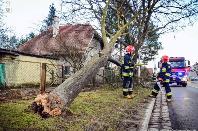 Straż pożarna w obiektywie [GALERIA] - 14