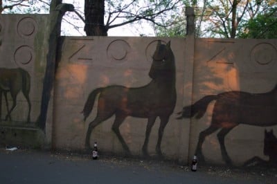 Internauci chcą ratować mural na ogrodzeniu wrocławskiego ZOO - 11