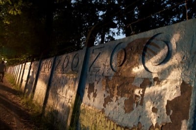 Internauci chcą ratować mural na ogrodzeniu wrocławskiego ZOO - 12