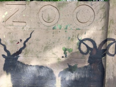 Internauci chcą ratować mural na ogrodzeniu wrocławskiego ZOO - 6