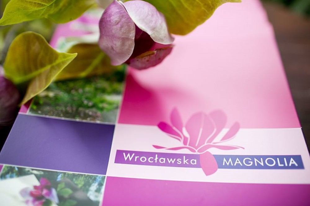 Najlepsi studenci otrzymali Magnolie [ZDJĘCIA]