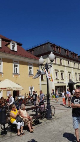 O ptaszku w potrzasku. Czyli o tym jak w Jeleniej Górze ratowano gołębia [ZDJĘCIA] - 4