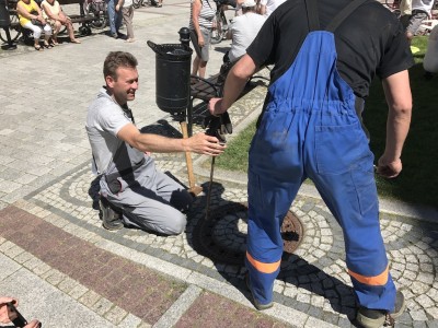 O ptaszku w potrzasku. Czyli o tym jak w Jeleniej Górze ratowano gołębia [ZDJĘCIA] - 7