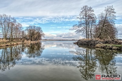 Wojewoda: Lasy Państwowe są gotowe przejąć kontrolę nad spółką Stawy Milickie [POSŁUCHAJ] - 1