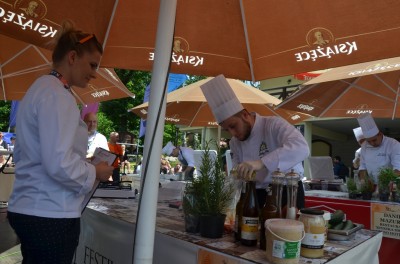 Dolnośląski Rozkład Jazdy: Festiwalu Smaków Liczyrzepy - 14