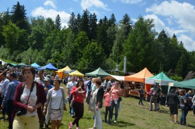 Dolnośląski Rozkład Jazdy: Festiwalu Smaków Liczyrzepy - 18