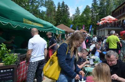 Dolnośląski Rozkład Jazdy: Festiwalu Smaków Liczyrzepy - 19