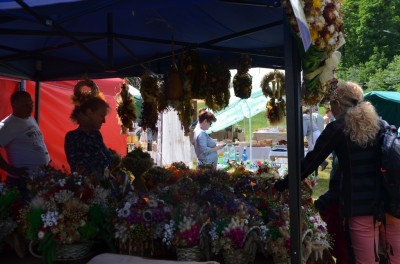 Dolnośląski Rozkład Jazdy: Festiwalu Smaków Liczyrzepy - 3