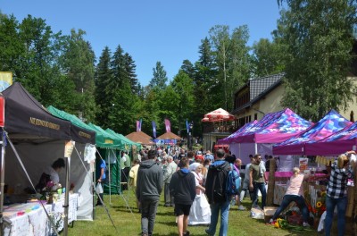 Dolnośląski Rozkład Jazdy: Festiwalu Smaków Liczyrzepy - 5