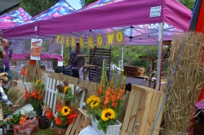 Dolnośląski Rozkład Jazdy: Festiwalu Smaków Liczyrzepy - 6