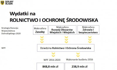 Zarząd województwa dolnośląskiego z absolutorium za 2016 rok - 11