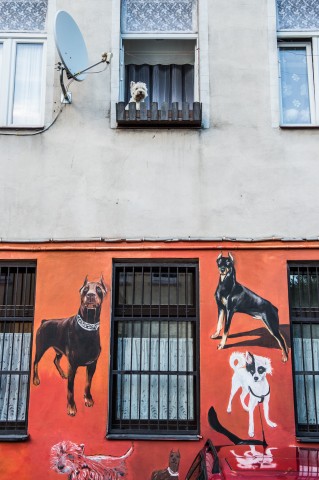 Wrocław: Na Nadodrzu powstaje malowidło przedstawiające historię sztuki [ZOBACZ] - 6