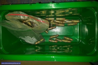 100 krzaków marihuany, granaty i amunicja - 1