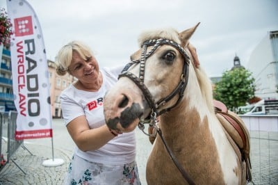 Radio Wrocław było w Strzegomiu! [ZDJĘCIA] - 29