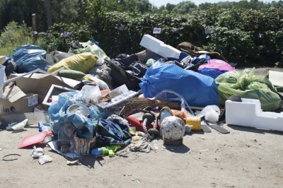 W Jeleniej Górze przybywa śmieci. To przez obcokrajowców?