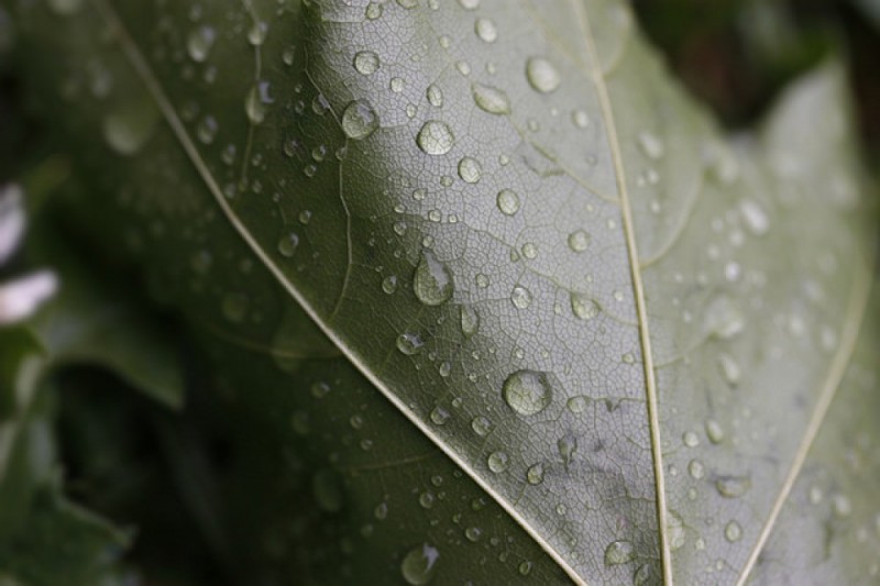 Niedziela z deszczem. Na termometrach do 22°C [PROGNOZA] - zdjęcie ilustracyjne: Puno 3000/flickr.com (Creative Commons)