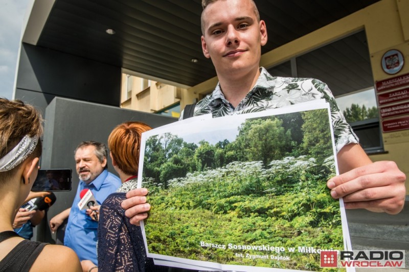 Partia Razem i Zieloni walczą z Barszczem Sosnowskiego - fot. Andrzej Owczarek/Radio Wrocław