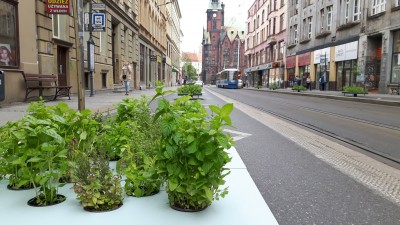 Krupnicza we Wrocławiu zamieniła się w deptak [ZDJĘCIA] - 7