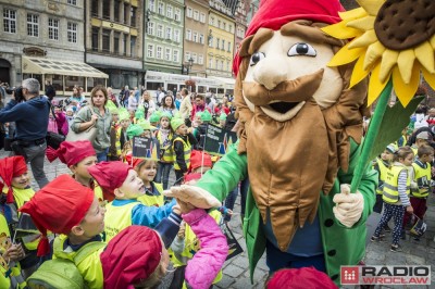 Krasnale mają sw&oacute;j festiwal. Zobaczcie ich przemarsz [FOTO]