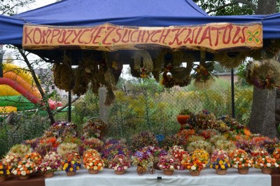 DRJ: Pożegnanie Lata w Marcinkowicach [POSŁUCHAJ] - 13
