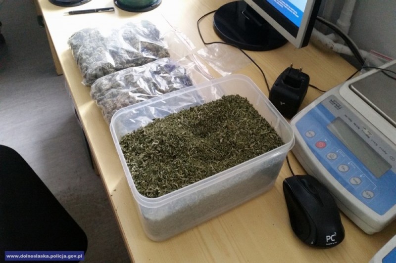 Świdnica: Marihuana ukryta w... wiaderku po karmie dla psa - fot. Dolnośląska Policja